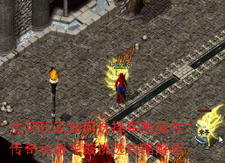 ��ʦ������ѡ��������ԣ�����˽��������ѡ���Խ���