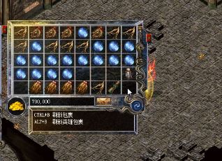 传奇玩家应该为师哥试玩副本准备什么