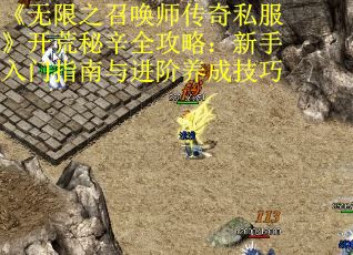 《无限之召唤师传奇私服》开荒秘辛全攻略：新手入门指南与进阶养成技巧