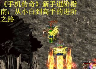 《手机传奇》新手进阶指南：从小白到高手的进阶之路
