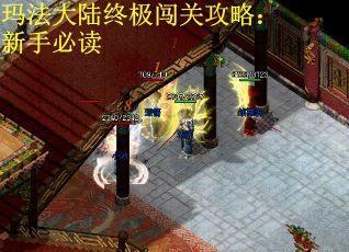 玛法大陆终极闯关攻略：新手必读