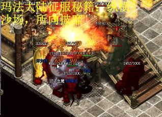 玛法大陆征服秘籍：纵横沙场，所向披靡