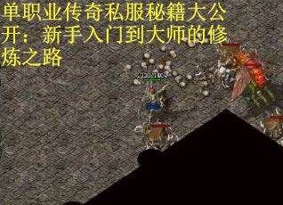 单职业传奇私服秘籍大公开：新手入门到大师的修炼之路