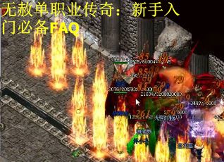 无赦单职业传奇：新手入门必备FAQ
