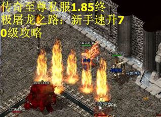 传奇至尊私服1.85终极屠龙之路：新手速升70级攻略