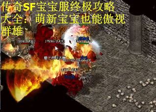 传奇SF宝宝服终极攻略大全：萌新宝宝也能傲视群雄