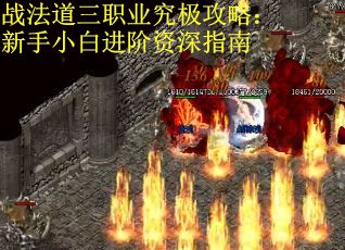战法道三职业究极攻略：新手小白进阶资深指南