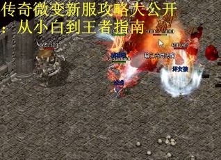 传奇微变新服攻略大公开：从小白到王者指南