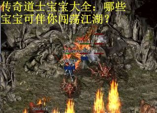 传奇道士宝宝大全：哪些宝宝可伴你闯荡江湖？