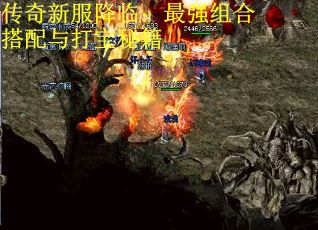 传奇新服降临：最强组合搭配与打宝秘籍