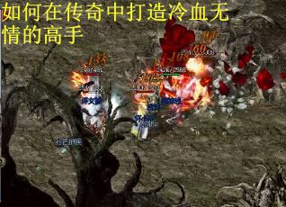 如何在传奇中打造冷血无情的高手