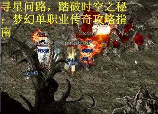 寻星问路，踏破时空之秘：梦幻单职业传奇攻略指南