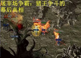 屠宰场争霸：猪王争斗的幕后真相