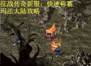征战传奇新服：快速称霸玛法大陆攻略