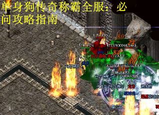 单身狗传奇称霸全服：必问攻略指南
