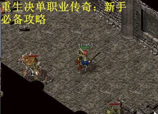 重生决单职业传奇：新手必备攻略