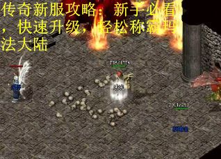 传奇新服攻略：新手必看，快速升级，轻松称霸玛法大陆
