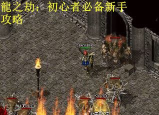 龍之劫：初心者必备新手攻略