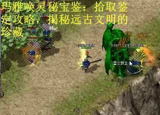 玛雅唤灵秘宝鉴：拾取鉴定攻略，揭秘远古文明的珍藏