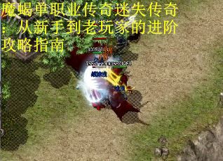 魔蝎单职业传奇迷失传奇：从新手到老玩家的进阶攻略指南