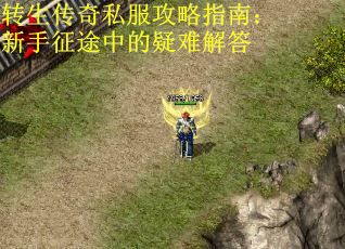 转生传奇私服攻略指南：新手征途中的疑难解答