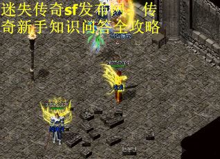 迷失传奇sf发布网：传奇新手知识问答全攻略