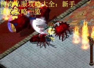 传奇私服攻略大全：新手速成攻略一览