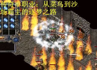 传奇单职业：从菜鸟到沙场霸主的逐梦之路
