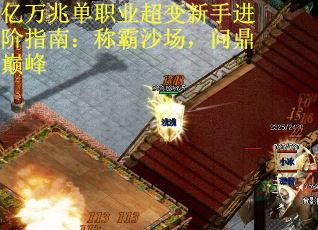 亿万兆单职业超变新手进阶指南：称霸沙场，问鼎巅峰