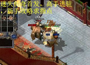 迷失传奇首发，高手进驻，新手攻略求指点
