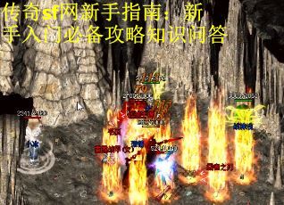 传奇sf网新手指南：新手入门必备攻略知识问答