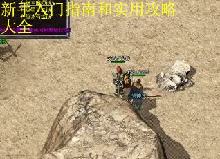 新手入门指南和实用攻略大全