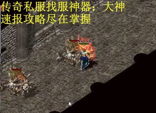 传奇私服找服神器：大神速报攻略尽在掌握
