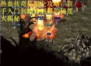 热血传奇私服全攻略：新手入门到巅峰制霸的秘笈大揭秘