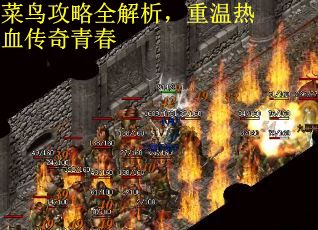 菜鸟攻略全解析，重温热血传奇青春
