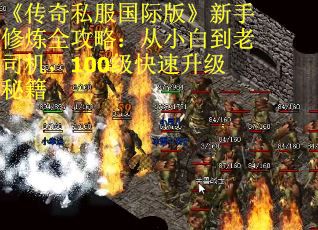 《传奇私服国际版》新手修炼全攻略：从小白到老司机，100级快速升级秘籍