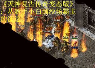 《灭神复古传奇变态版》：从新手小白到沙场霸主的征途