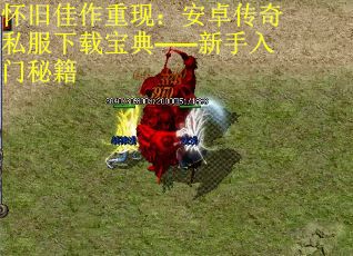 怀旧佳作重现：安卓传奇私服下载宝典——新手入门秘籍
