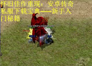 怀旧佳作重现：安卓传奇私服下载宝典——新手入门秘籍
