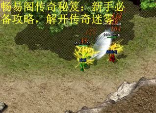 畅易阁传奇秘笈：新手必备攻略，解开传奇迷雾