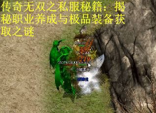 传奇无双之私服秘籍：揭秘职业养成与极品装备获取之谜