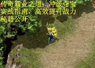 传奇霸业之道：冲级夺宝实战指南，高效提升战力秘籍公开