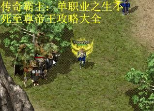 传奇霸主：单职业之生不死至尊帝王攻略大全