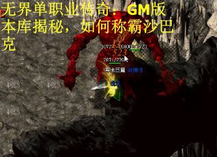 无界单职业传奇：GM版本库揭秘，如何称霸沙巴克