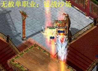 无赦单职业：征战沙场