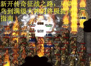 新开传奇征战之路：从菜鸟到满级大神的终极提问指南