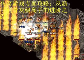 传奇游戏专家攻略：从新手到骨灰级高手的进阶之路