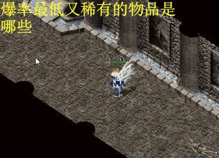 爆率最低又稀有的物品是哪些