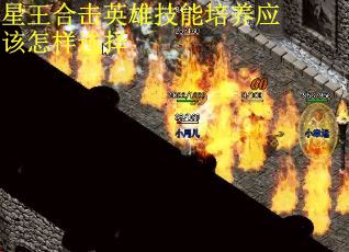 星王合击英雄技能培养应该怎样选择