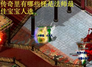 传奇里有哪些怪是法师最佳宝宝人选